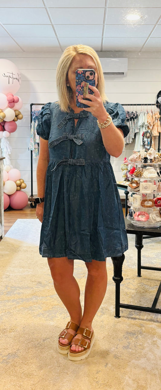 Demi chambray dress
