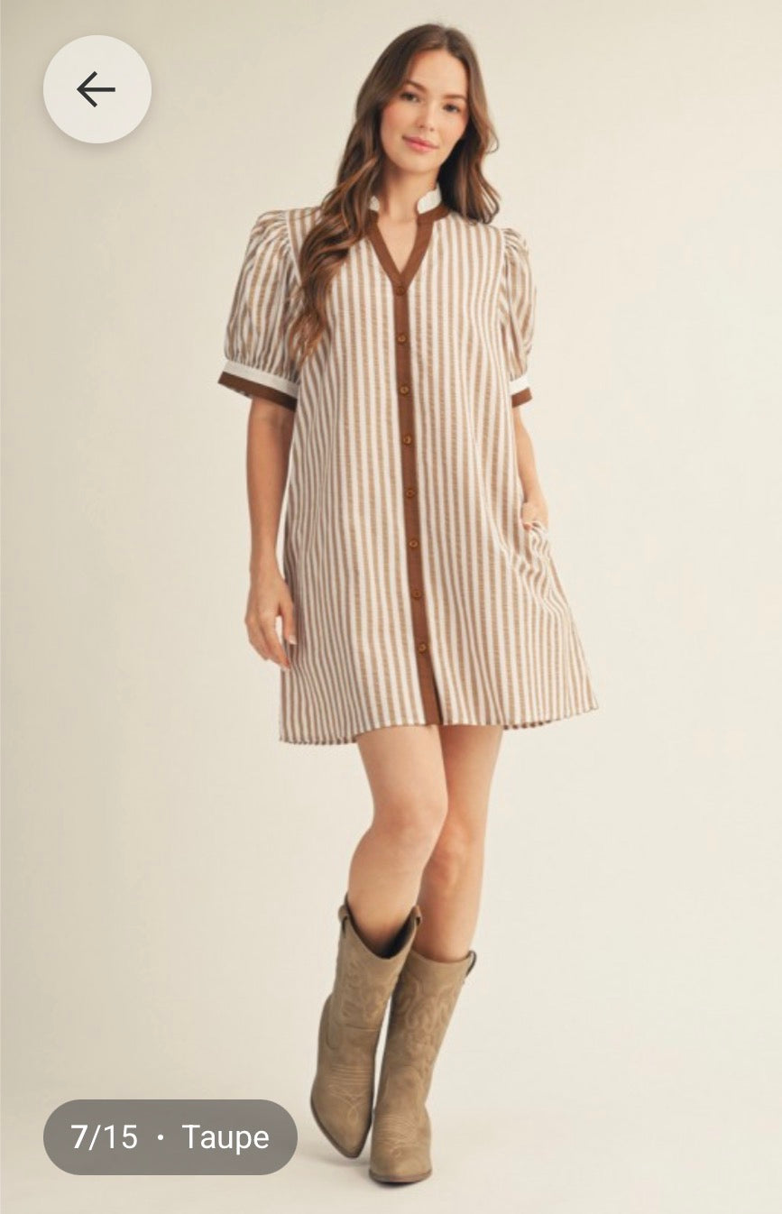 Brown stripe dress