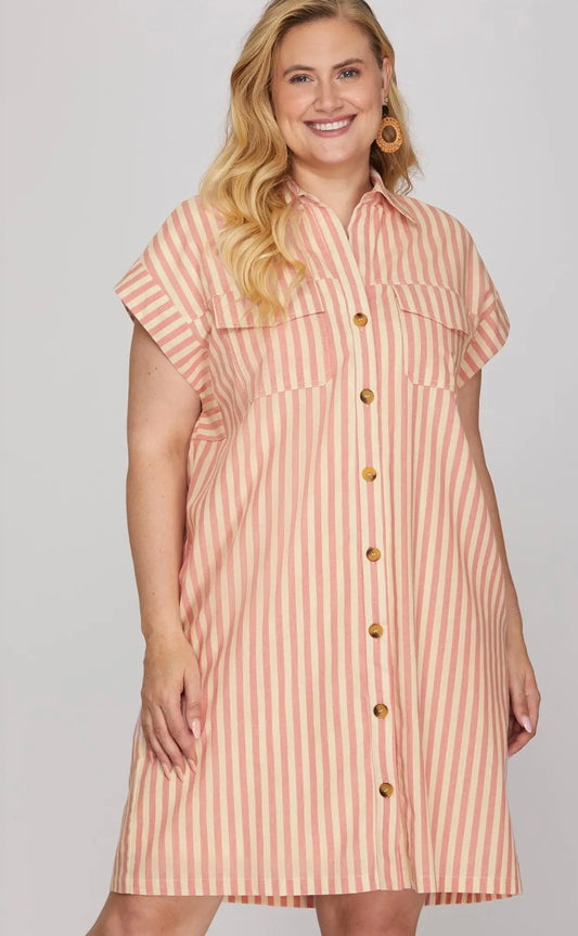 Pink stripe curvy dress
