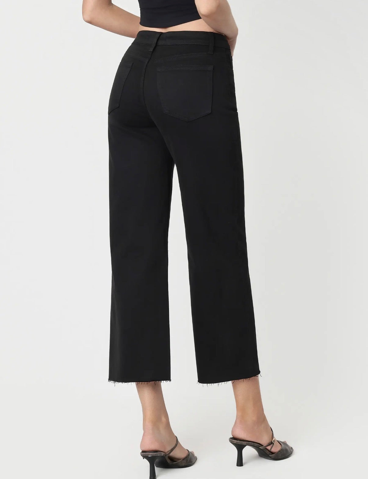 Vervet high rise crop wide leg