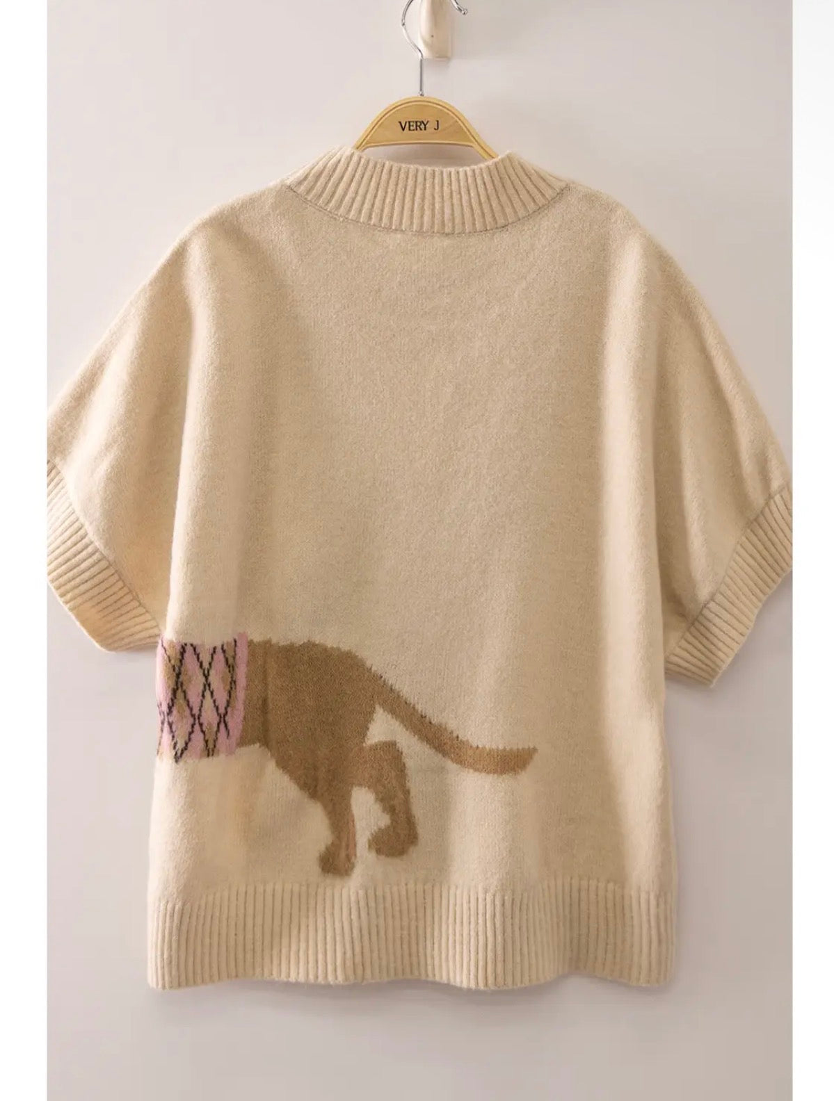 Dog beige sweater