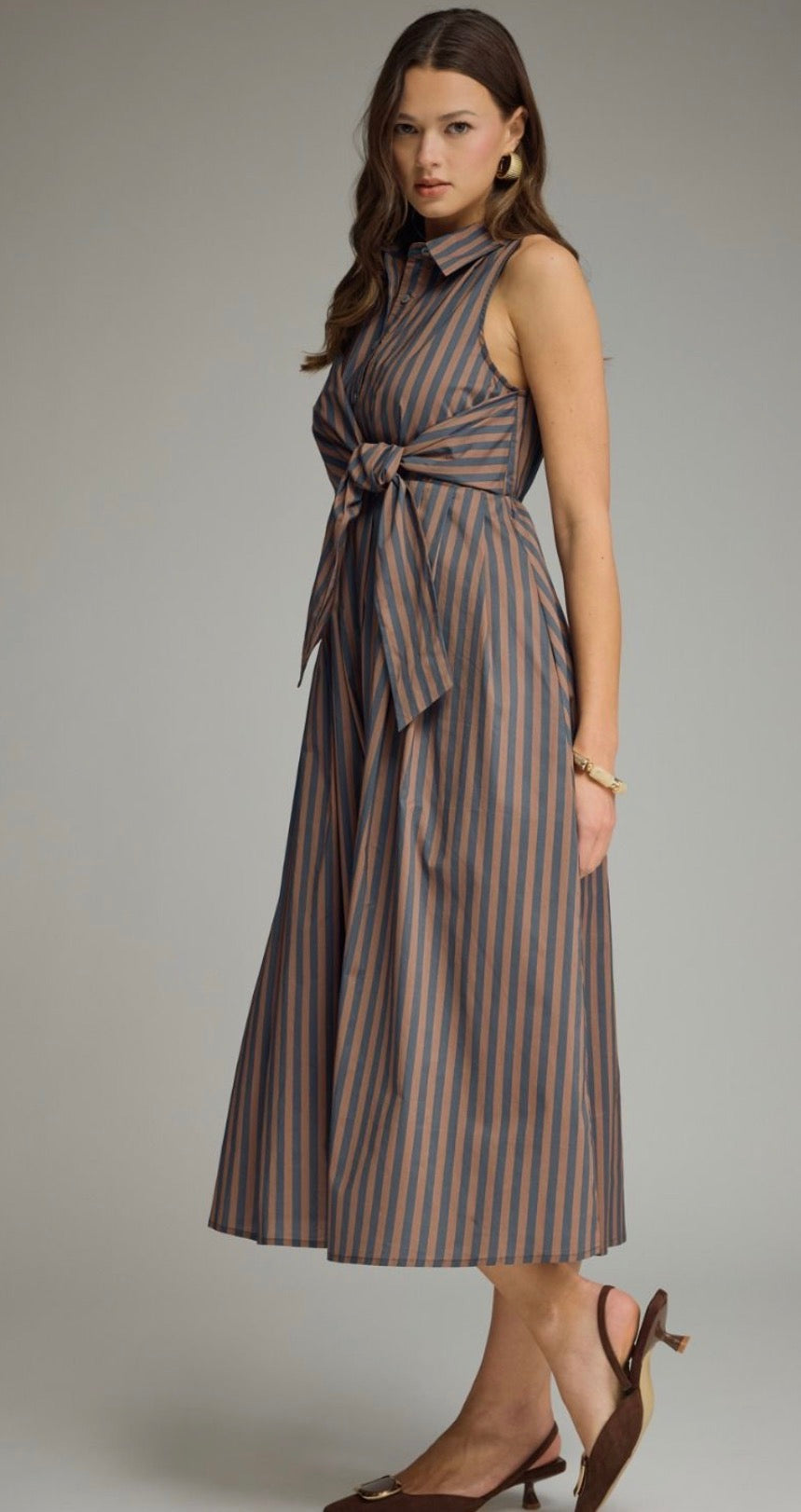 Navy/brown stripe dress