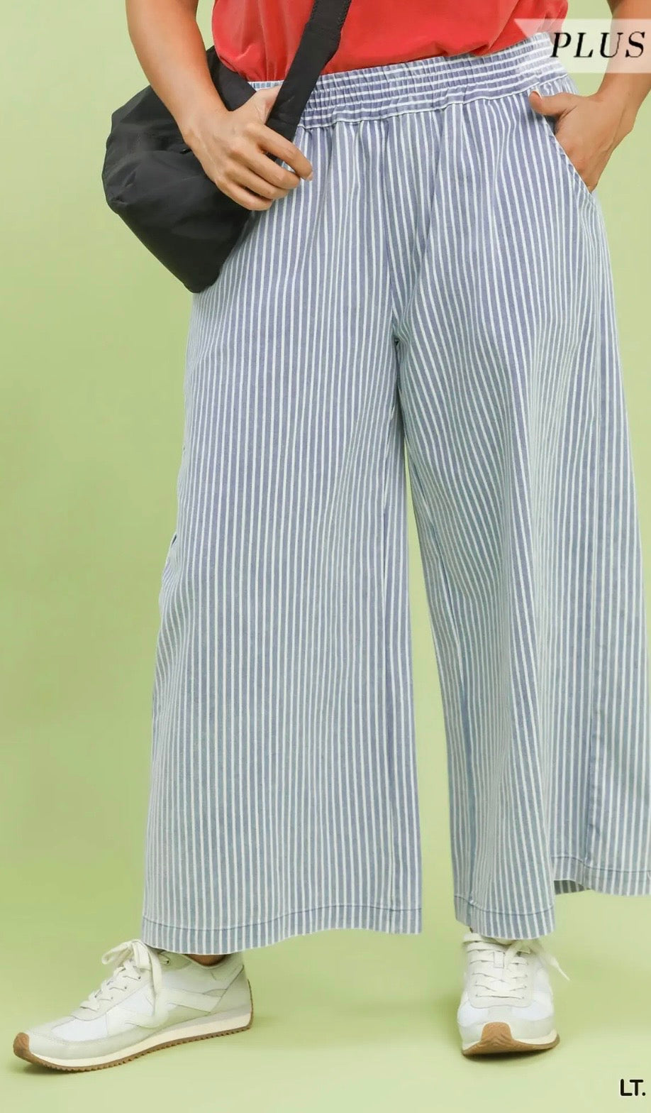 Curvy Lt denim stripe pant