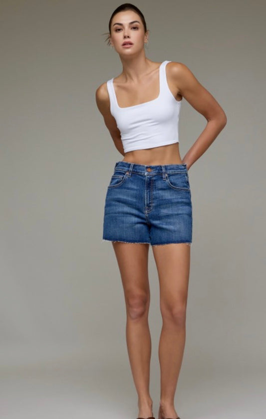 Hidden HW medium dark shorts