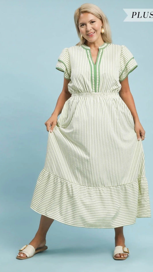 Sage stripe curvy dress