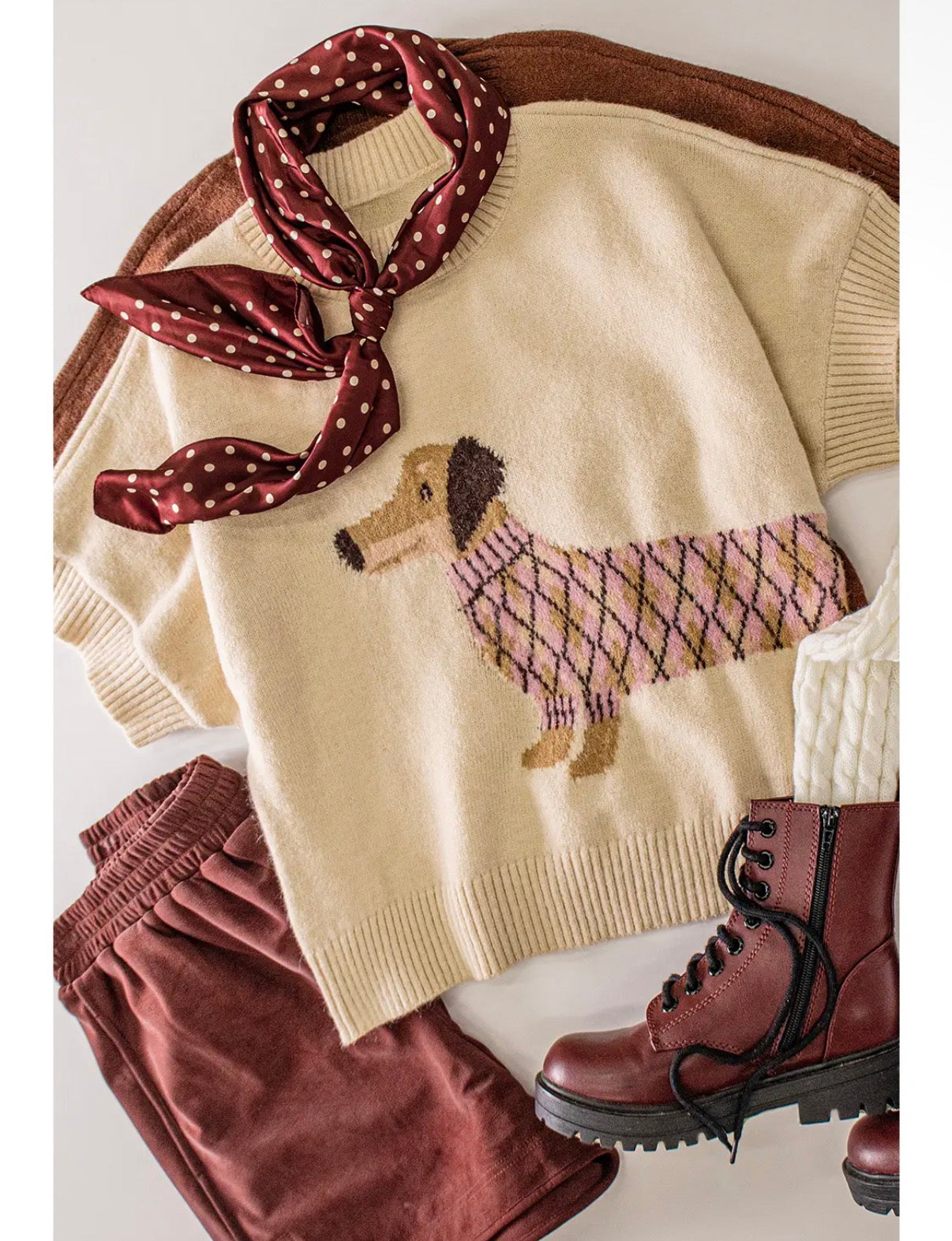 Dog beige sweater