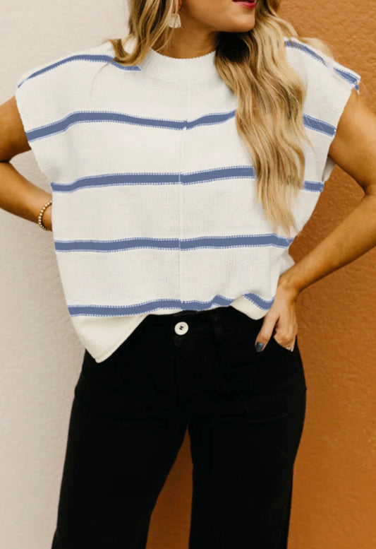 Blue stripe sweater top