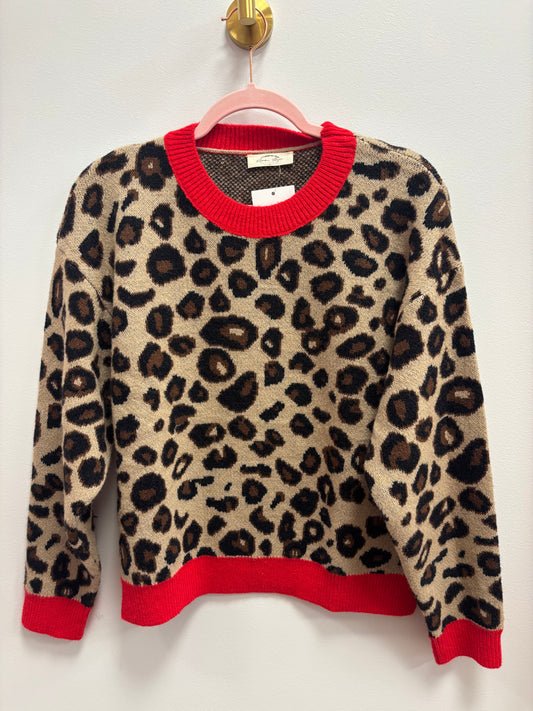 Cheetah print sweater